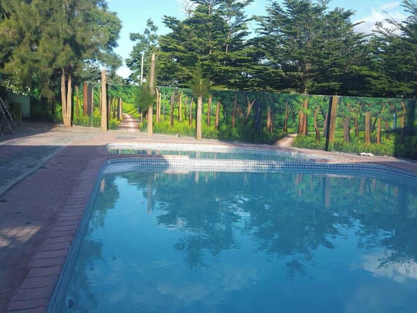 Kolam renang terbuka bermusim