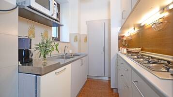 Fridge, microwave, stovetop, dishwasher