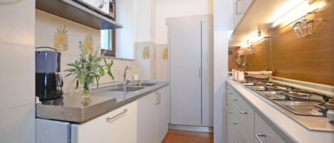 Fridge, microwave, stovetop, dishwasher