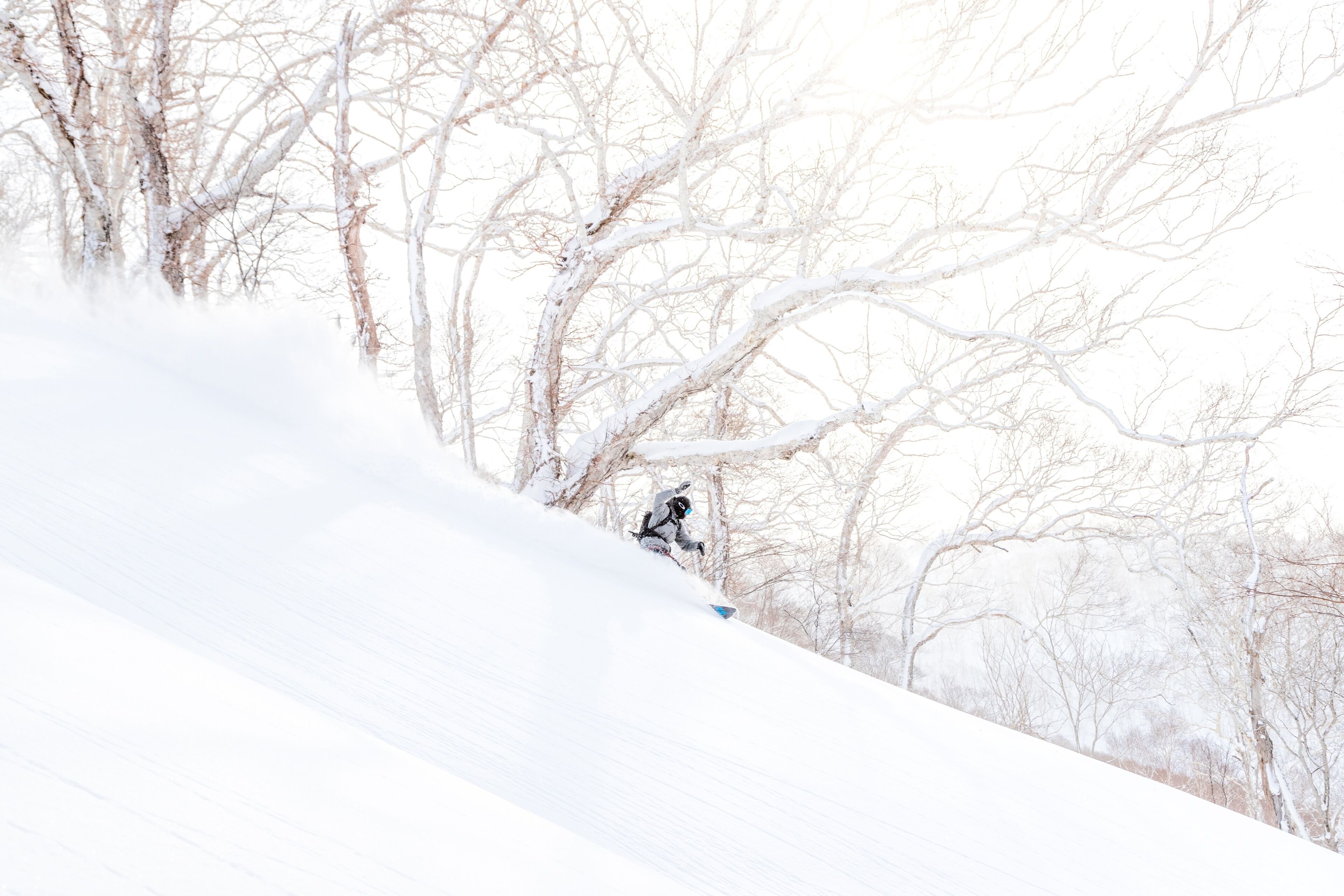 Un snowboarder descendiendo una pendiente nevada con árboles desnudos al fondo.
