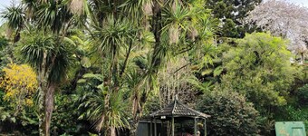 Private Rotorua Hideaway - Pet Friendly B&B with Electric Heating