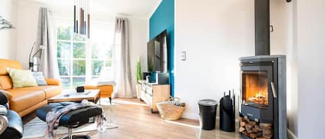 Télévision, cheminée, chaßne hi-fi