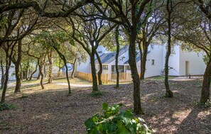 Property grounds - Maison accès plage direct (Meschers-sur-Gironde)