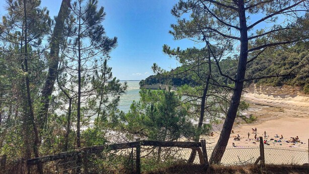 A beach with a wooden fence, trees, and a clear view of the ocean. - Maison accès plage direct (Meschers-sur-Gironde)