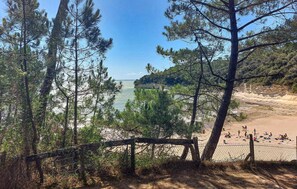En strand med ett trästaket, träd och fri utsikt över havet.