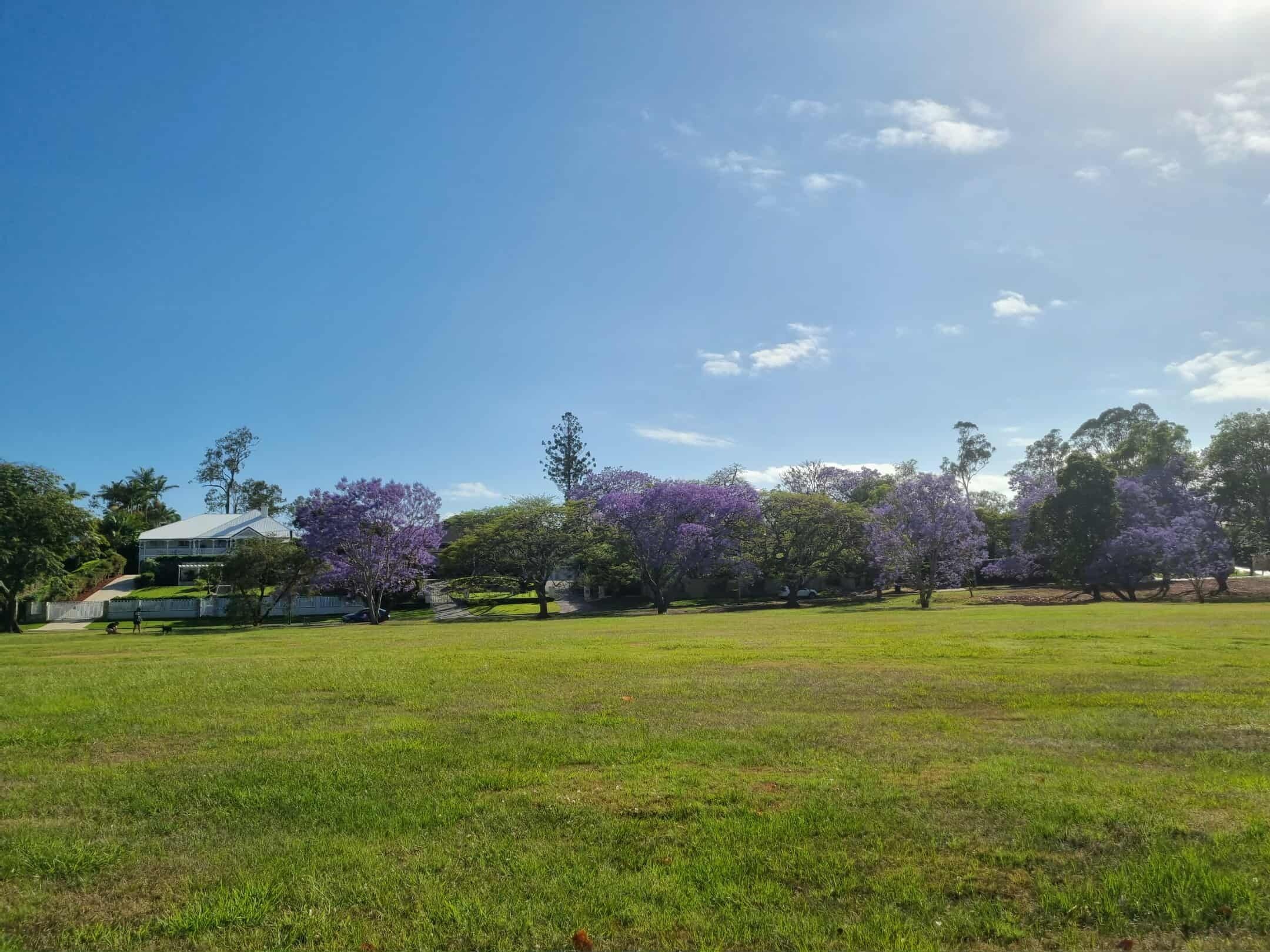 المنطقة المحيطة بالمنشأة