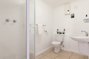 Un bagno con cabina doccia in vetro, un water, un lavandino e una piccola mensola con articoli da toilette.