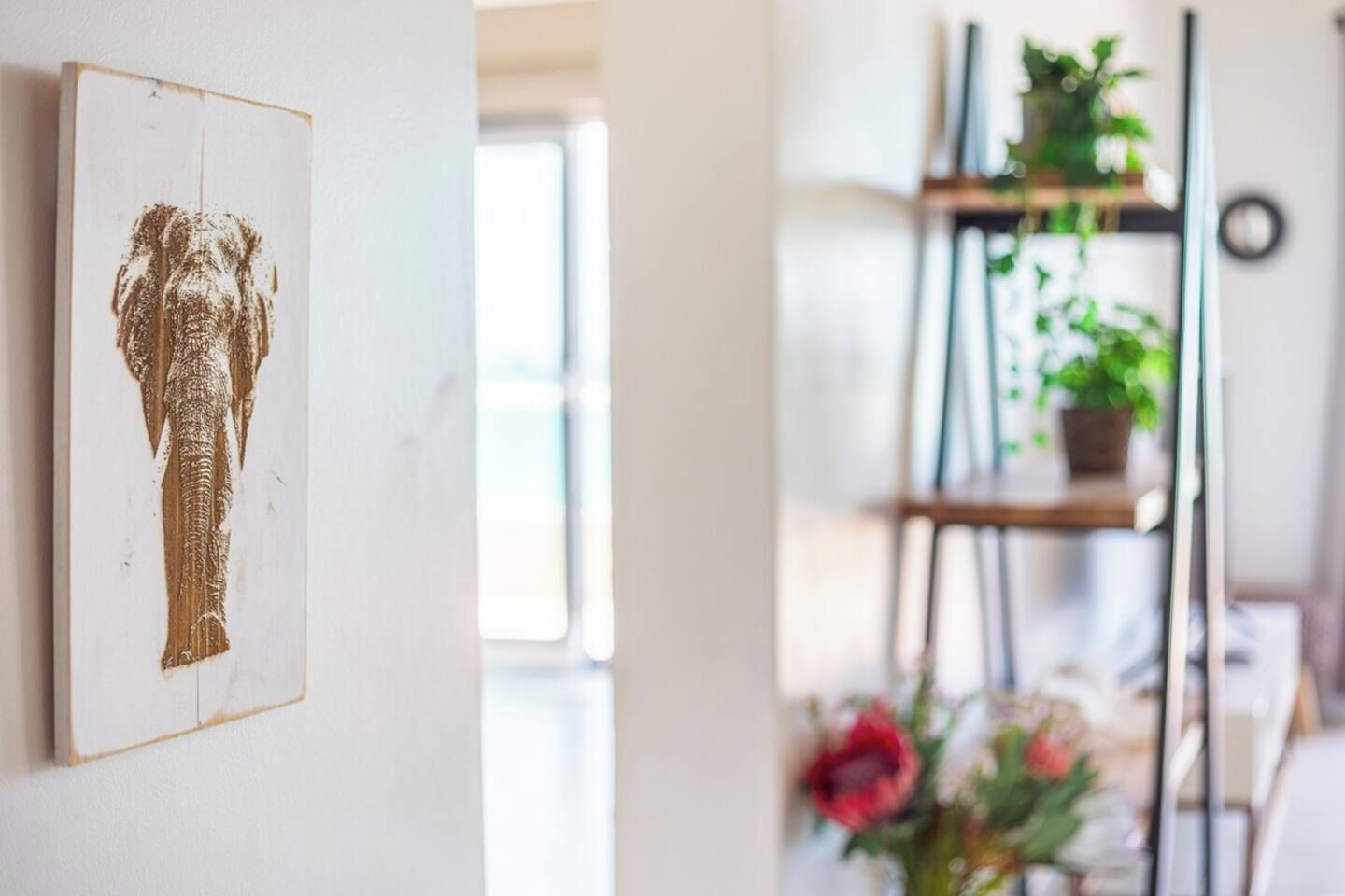 Habitación con un cuadro en la pared que muestra una superficie texturizada, una estantería con plantas y una ventana que deja entrar luz natural.