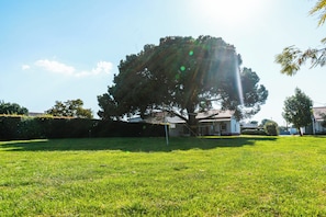 Un barrio residencial con un gran árbol, un césped y una casa de techo de tejas.