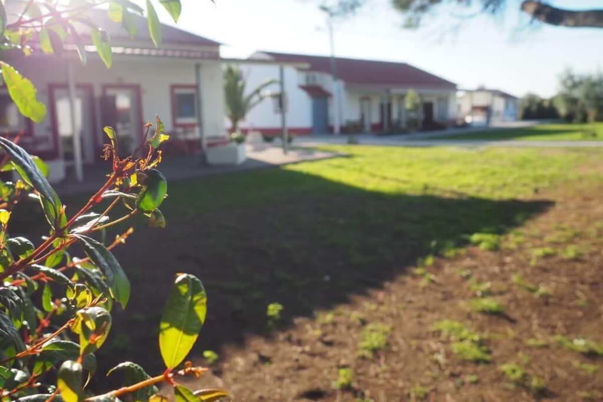 Apartamento clássico, 1 cama de casal, cozinha americana, vista para o jardim | Terraço/pátio
