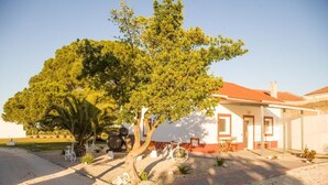 Um edifício com telhado de telhas vermelhas, uma árvore em primeiro plano e um caminho de cascalho.