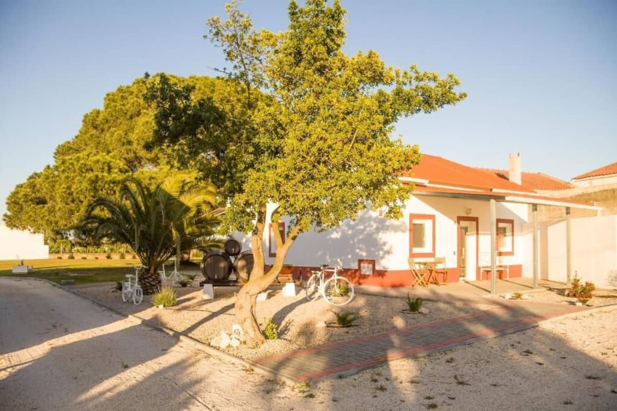 Apartamento clássico, várias camas, cozinha americana, vista para o jardim | Terraço/pátio