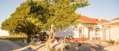 Classic Apartment, Multiple Beds, Kitchenette, Garden View | Terrace/patio