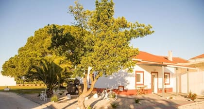 Casa Das Pipas Palmela