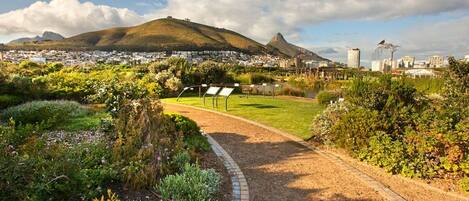 المنطقة المحيطة بالمنشأة