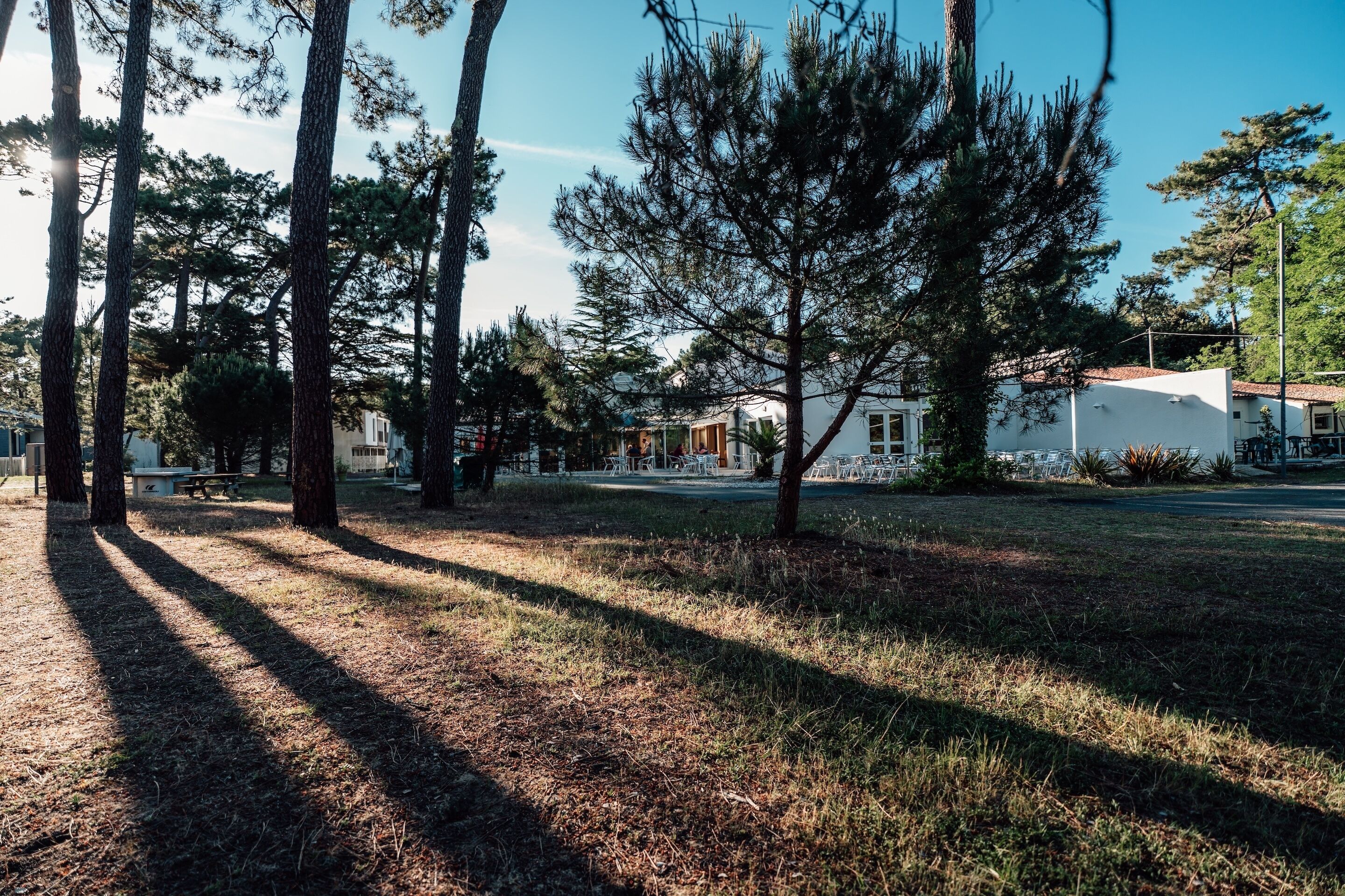 A grassy area with trees and a white building with a red roof.