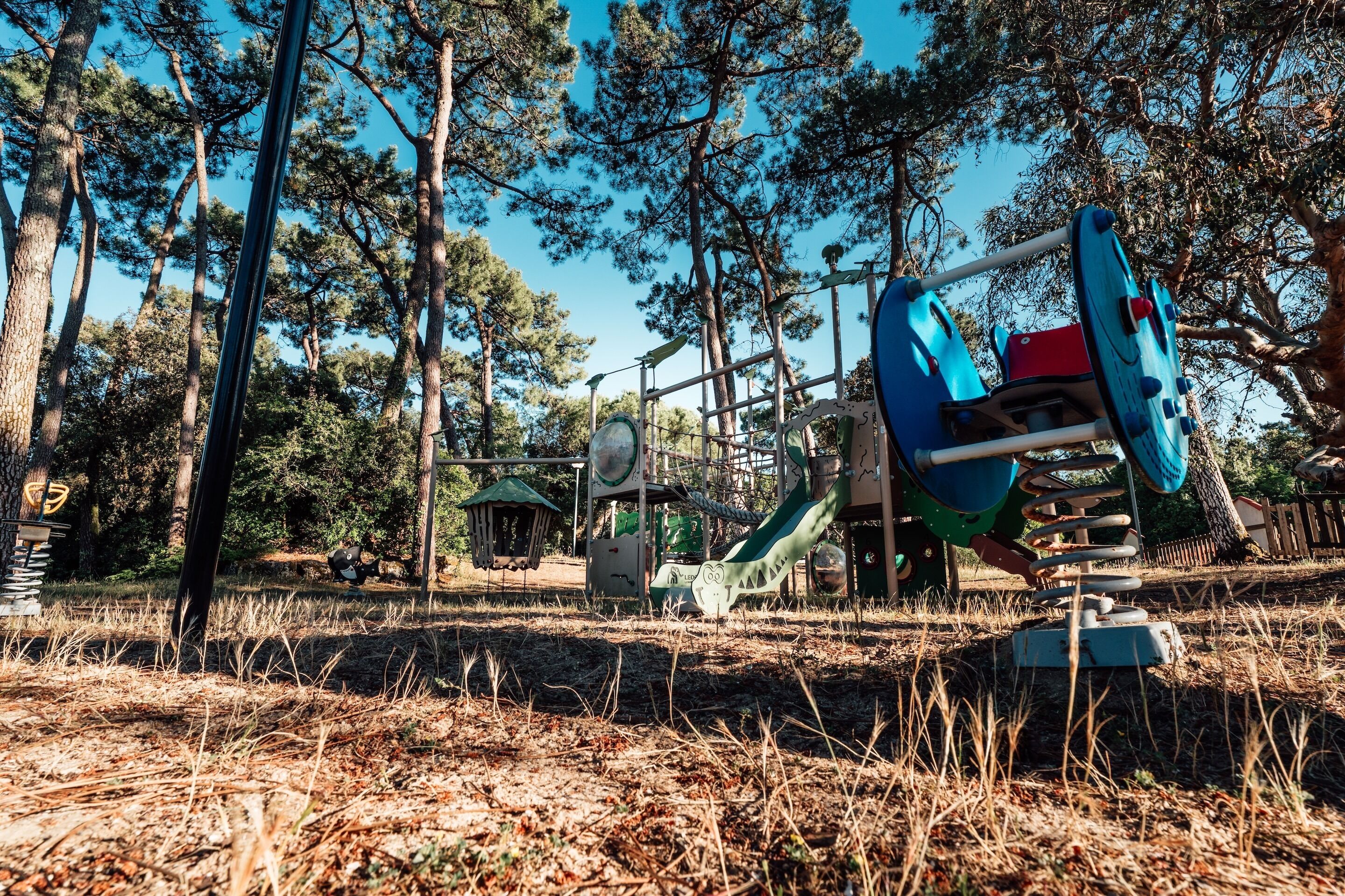 Ein Spielplatz mit Rutsche, Klettergerüsten und Schaukeln, umgeben von Bäumen.