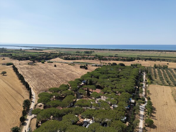 Vista aérea de una zona rural con campos, árboles y un pequeño asentamiento.