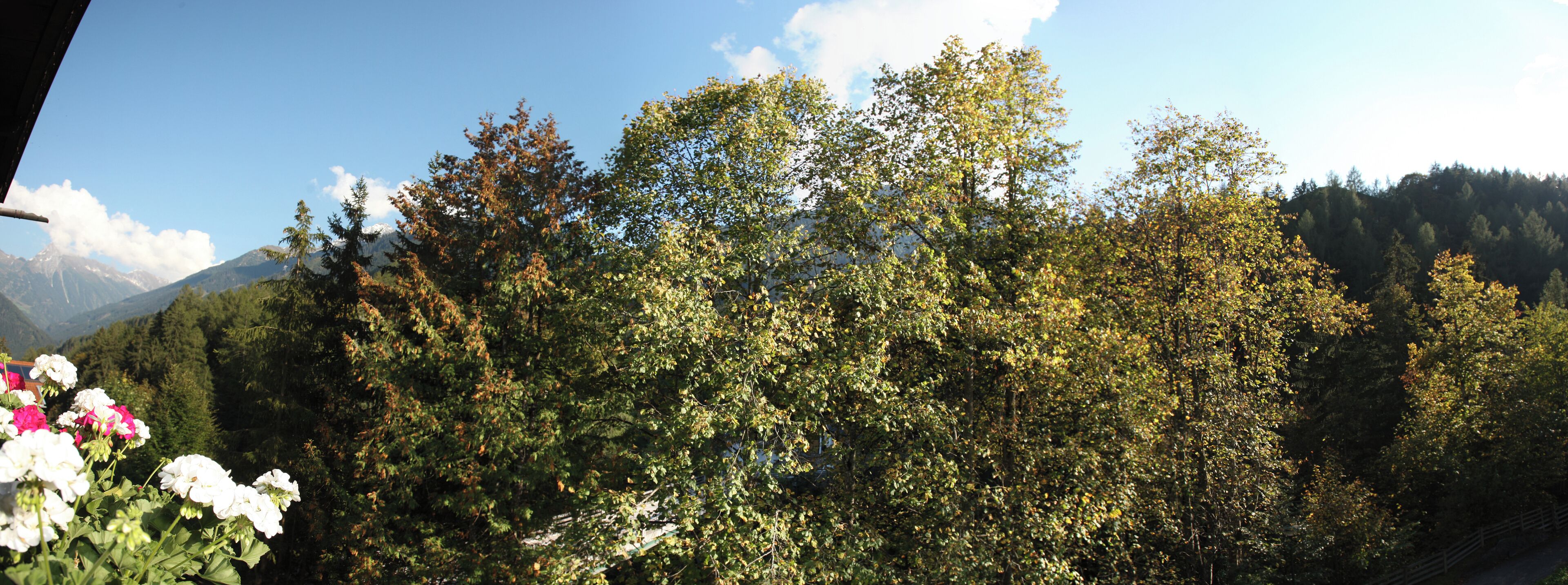 A mountainous landscape with dense forest and a clear sky.