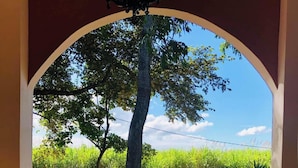 A covered patio with a tiled floor, a tree, and potted plants. - The House of Encantada (Liberia)
