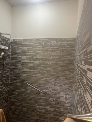 House, 2 Bedrooms, Accessible, Smoking | Bathroom shower - The House of Encantada (Liberia)