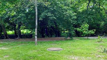 House, 2 Bedrooms, Accessible, Smoking | Terrace/patio