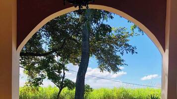 House, 2 Bedrooms, Accessible, Smoking | Terrace/patio