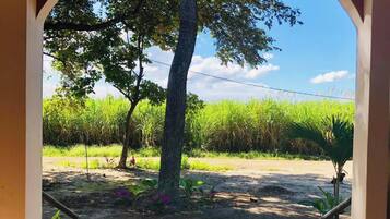 House, 2 Bedrooms, Accessible, Smoking | Teres/patio