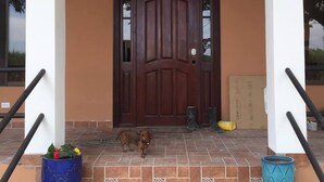 House, 2 Bedrooms, Accessible, Smoking | Exterior detail - The House of Encantada (Liberia)