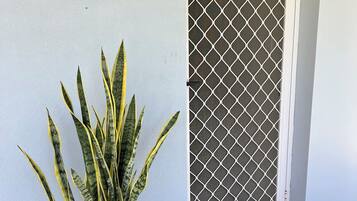 Detall de l'exterior