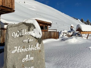 View from property - Chalet in Zillertal Near Hochzillertal Ski Area (Zellberg)