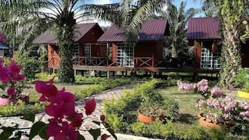 Ngoại thất