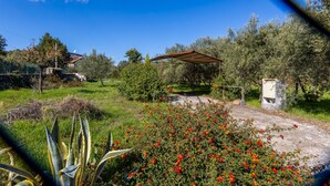 A garden with a pergola, a small shed, and various plants including red flowers and agave plants. - Vigna dell`Etna - Piedimonte Etneo (Piedimonte Etneo)