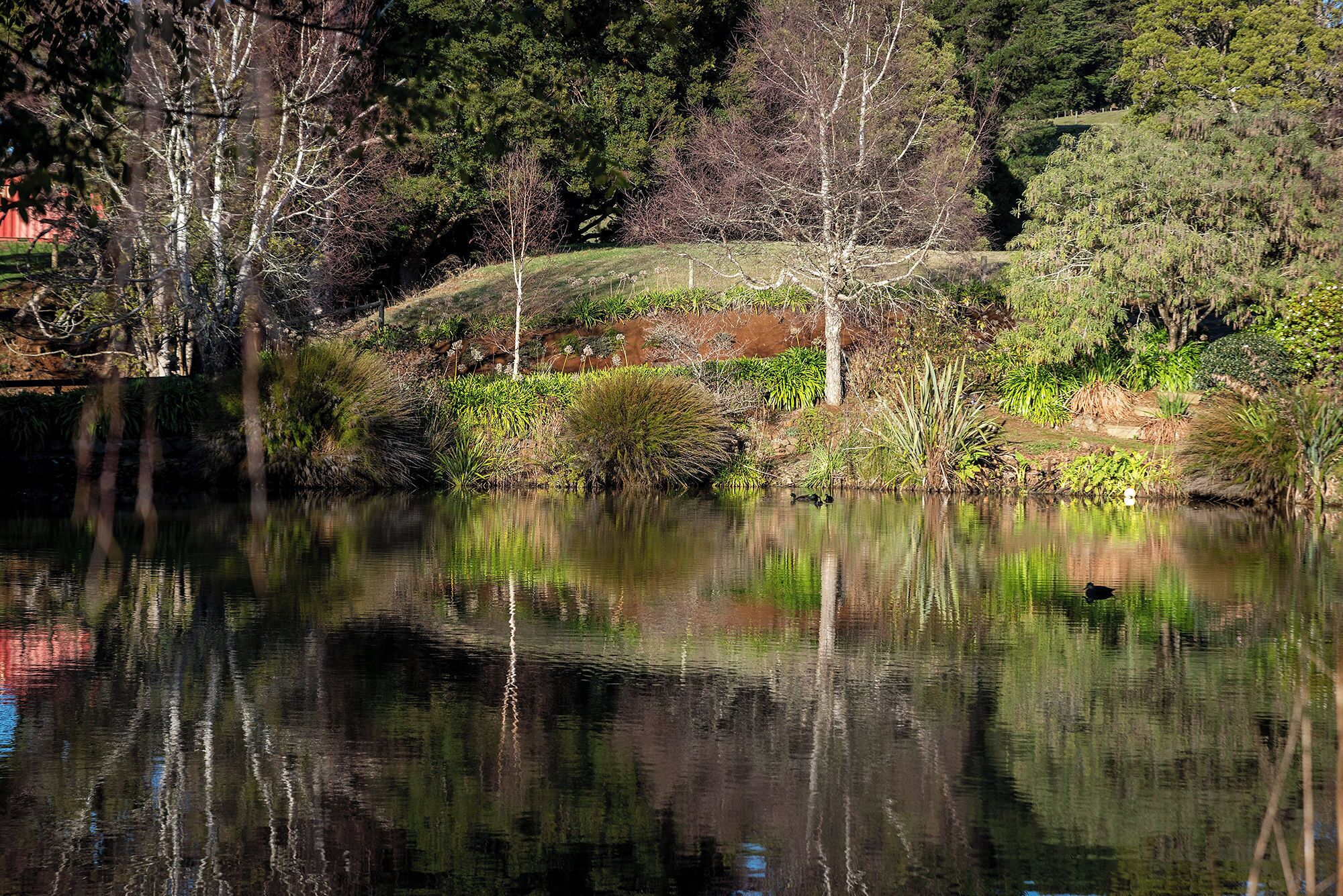 Ein stiller See mit Spiegelungen von Bäumen und einem Gebäude im Hintergrund.
