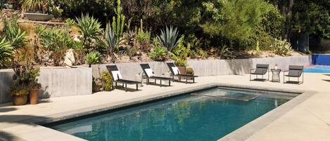 Outdoor pool, sun loungers