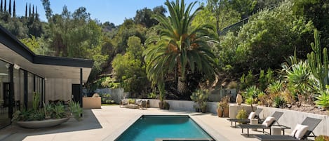 Outdoor pool, sun loungers