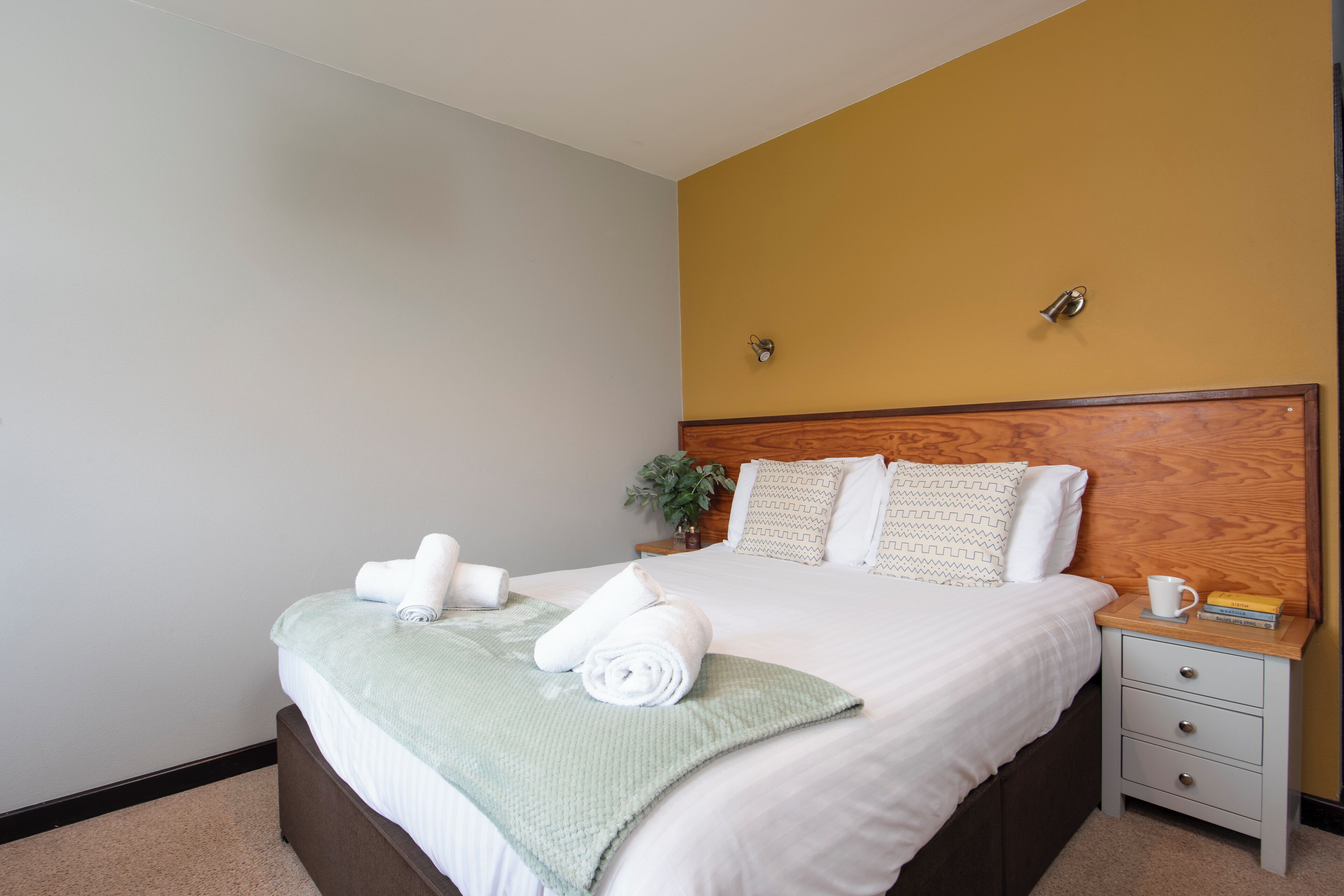 Double Room, 1 King Bed, Pets Allowed | Desk, laptop workspace, free WiFi