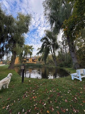 Property grounds - Relaxing Harbor Springs Condo w/Skiing, Pools & Trails (Harbor Springs)