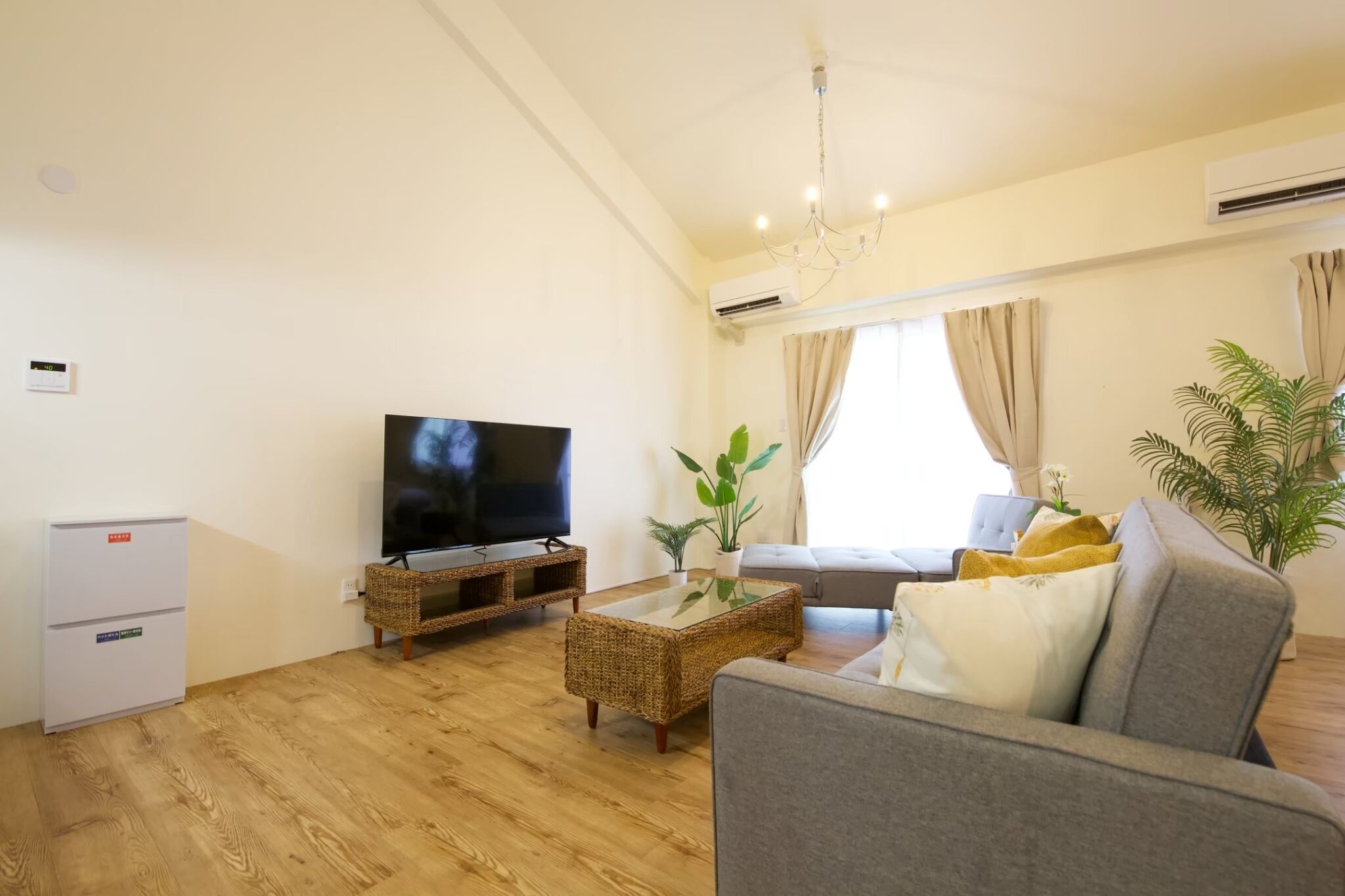 A living room with a television, sofa, and a small table with a plant.