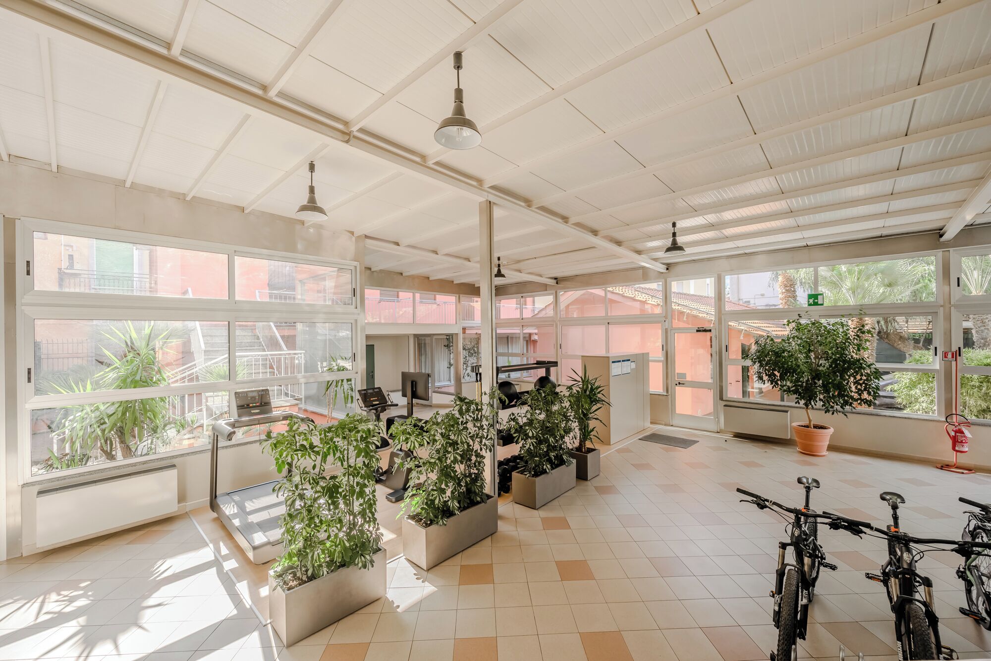 Un espai interior ampli amb grans finestres, plantes en testos i bicicletes.