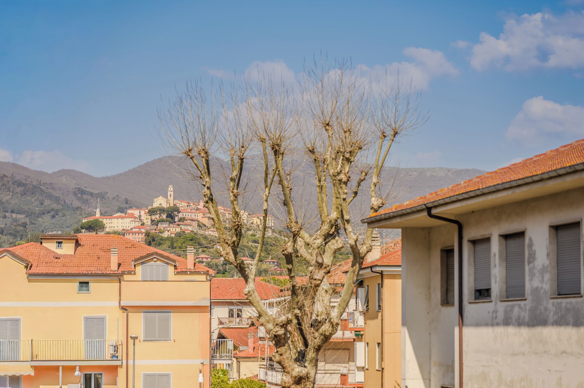Ein Wohngebiet mit Gebäuden, einem Baum und einem Berg im Hintergrund.