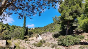 Un sentier de pierres qui traverse un paysage naturel, avec des arbres et une colline en arrière-plan.