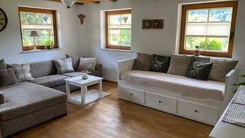 Fernseher, Kamin