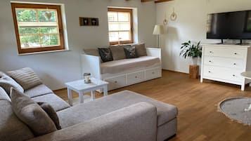 Una televisión, una chimenea