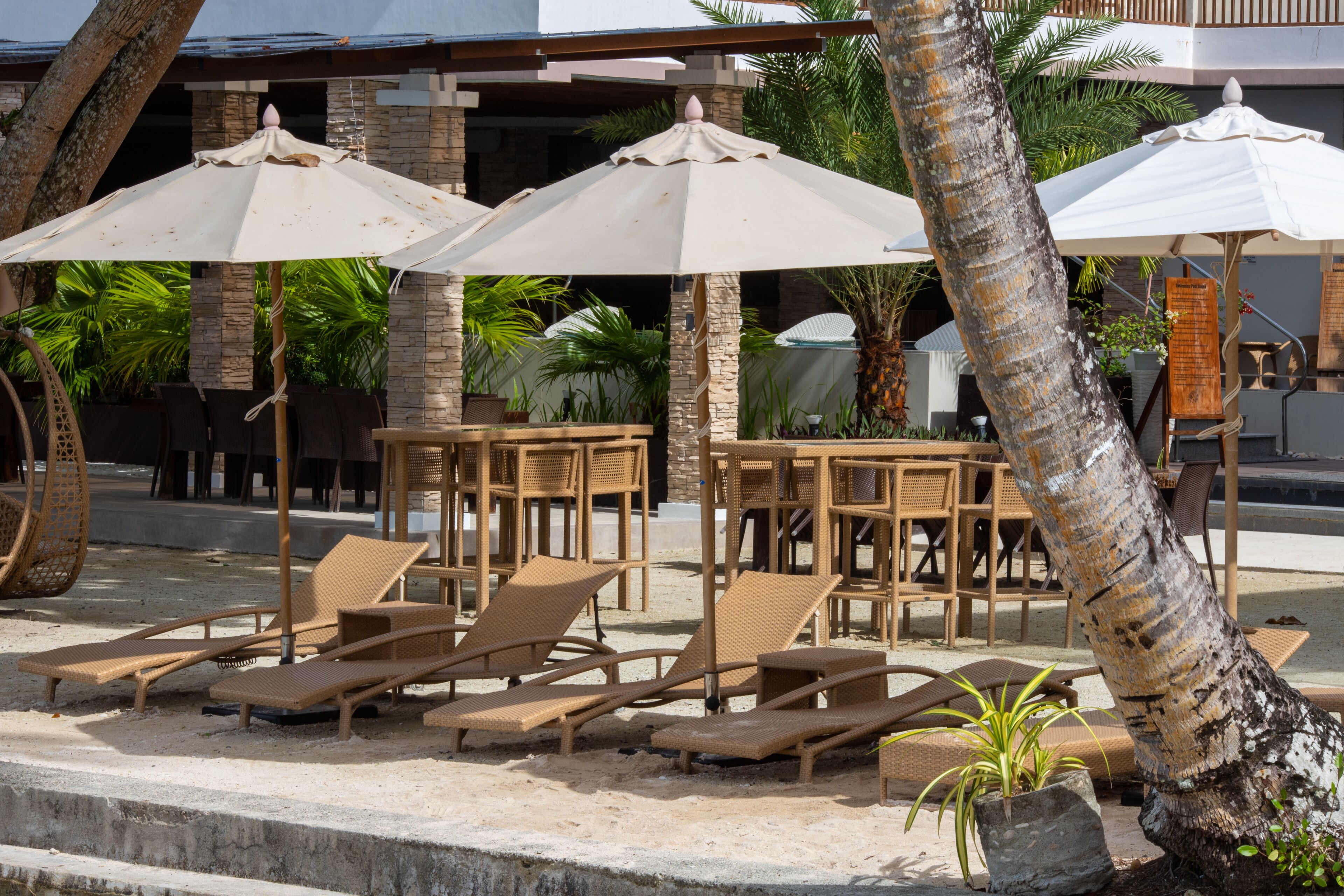 A poolside area with lounge chairs and umbrellas, surrounded by palm trees and a stone building.