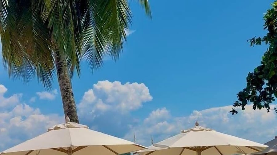 Alima ARQ Beach Resort