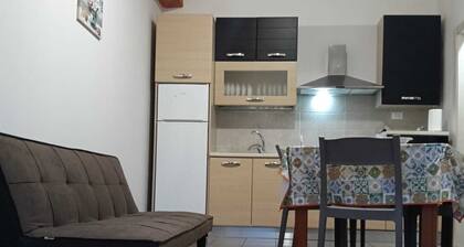 THE GECKO HOUSES - DELIGHTFUL