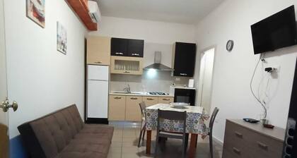 THE GECKO HOUSES - DELIGHTFUL