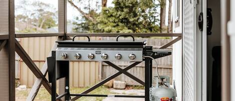 Área de parrilladas y picnic