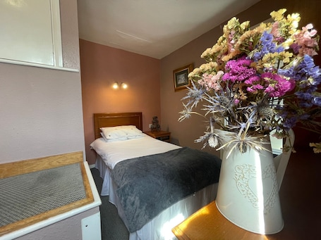 Escritorio, espacio para trabajar con laptop y wifi gratis